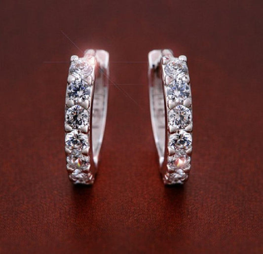 Fully Sterling Silver Earrings | 2025 Silver