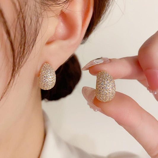 Sterling Silver Needle Korean Exquisite Fashion Earrings