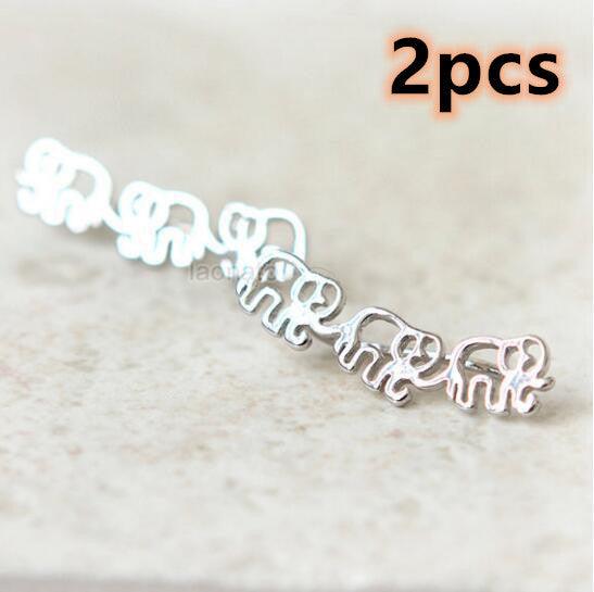 Daisies Earrings | Daily Wear Silvery 2pcs